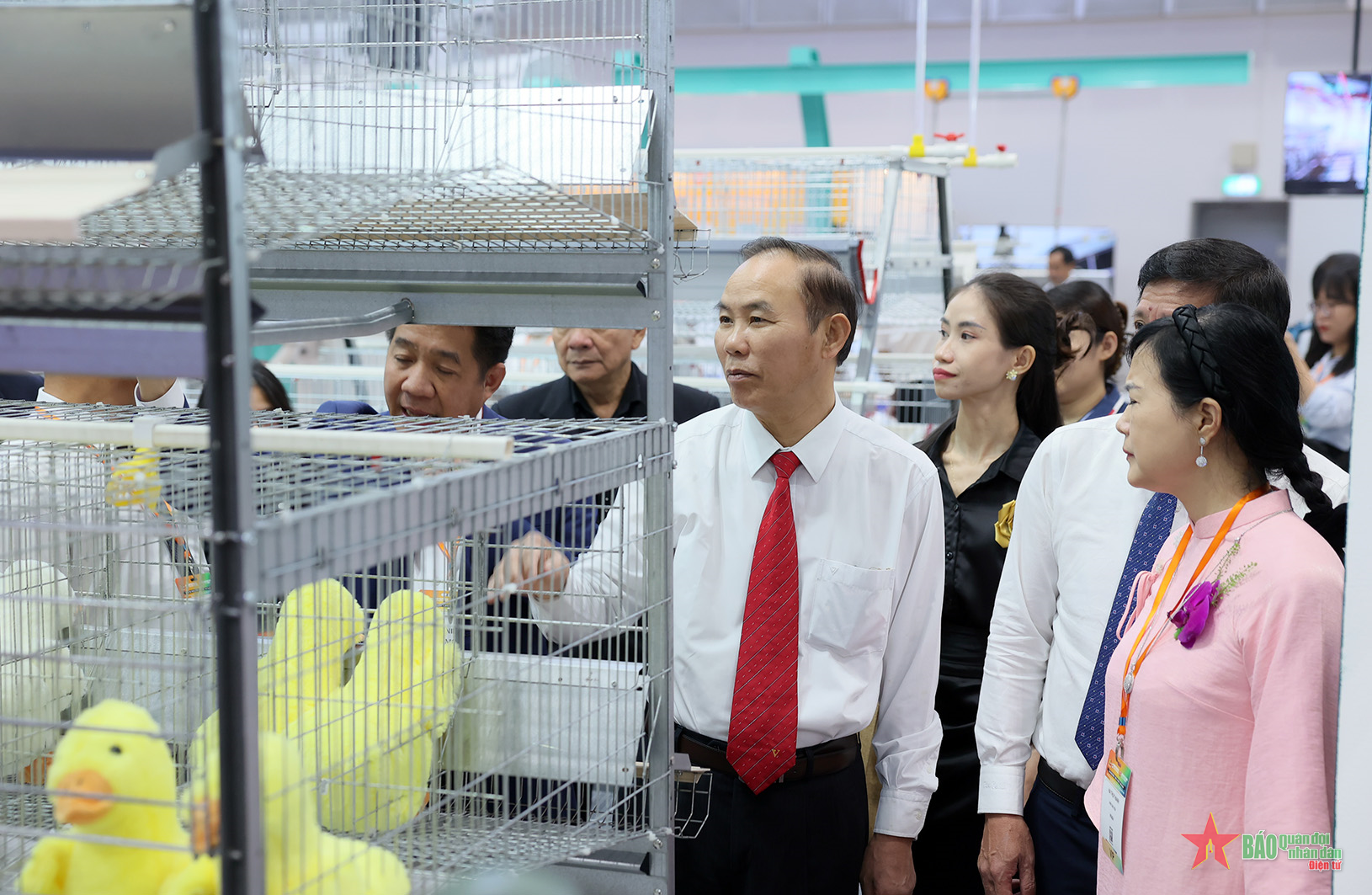 Tạo môi trường kết nối, hợp tác phát triển ngành chăn nuôi Việt Nam